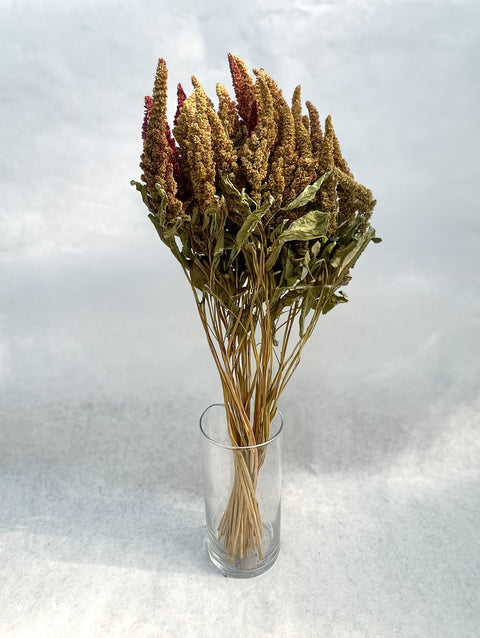 Dried Amaranth Pistachio