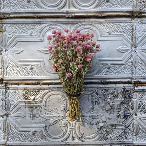 Dried Flower Bunch-Gomphrena Pink - Sunny Meadows Flower Farm