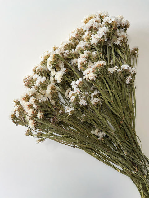 Dried Statice White - Sunny Meadows Flower Farm