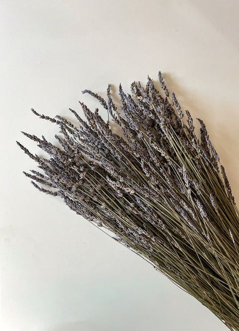 Dried Lavender - Sunny Meadows Flower Farm