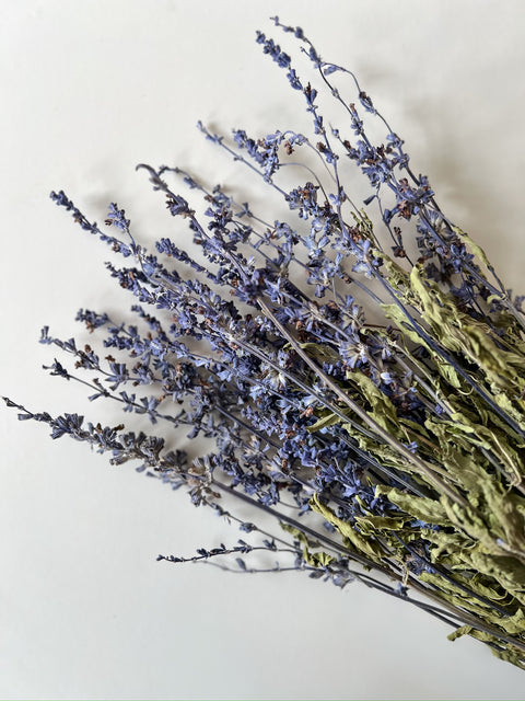 Dried Salvia - Sunny Meadows Flower Farm