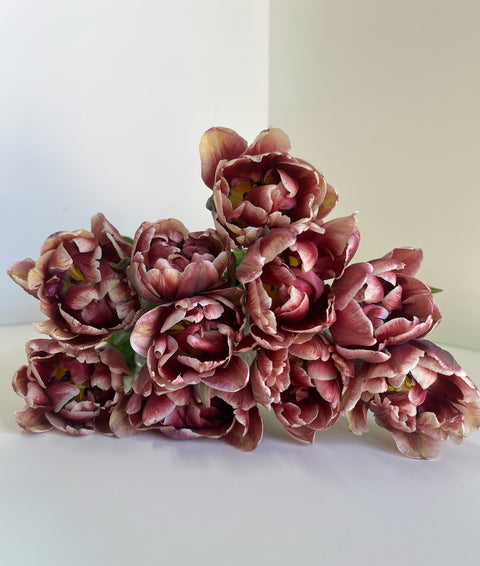 Tulip Bulbs-Wyndham