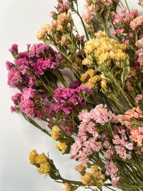 Dried Statice Sunset Mix - Sunny Meadows Flower Farm