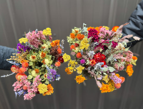 Dried Bouquet-Bright and Cheery