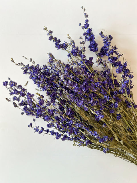 Dried Larkspur Purple - Sunny Meadows Flower Farm