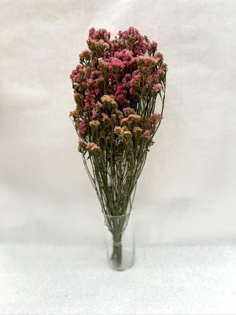 Dried Statice Sunset Mix - Sunny Meadows Flower Farm