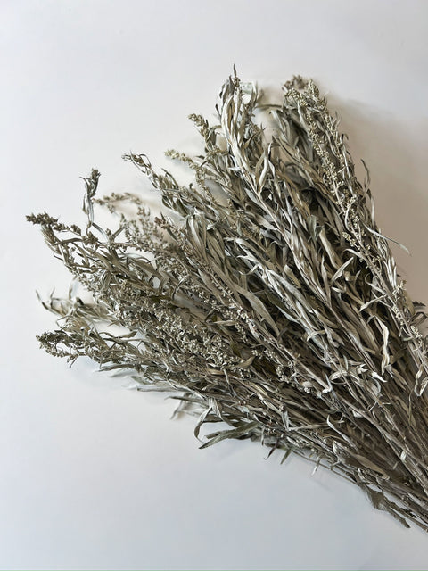 Dried Artemisia Silver King - Sunny Meadows Flower Farm