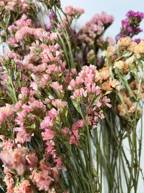 Dried Statice Sunset Mix - Sunny Meadows Flower Farm