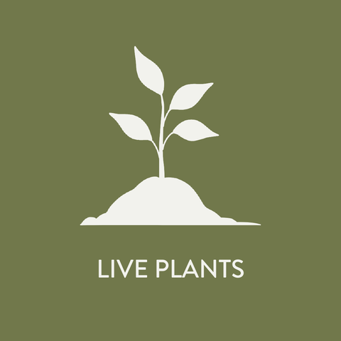 Growing Live Plants