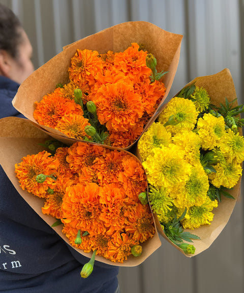 Holiday Marigolds at Your Door - Sunny Meadows Flower Farm