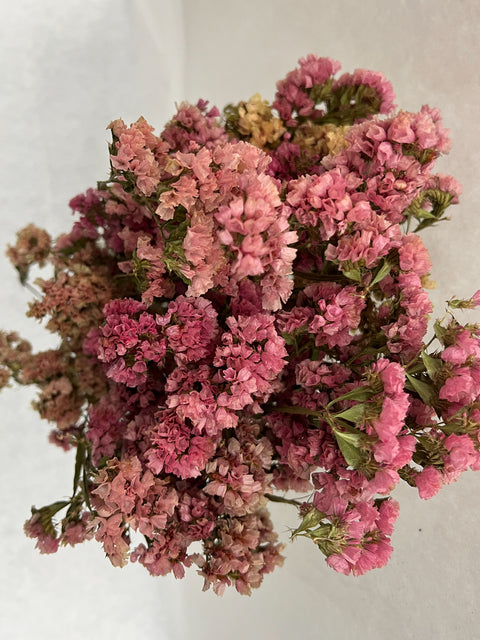 Dried Statice Sunset Mix - Sunny Meadows Flower Farm