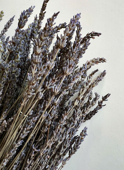 Dried Lavender - Sunny Meadows Flower Farm