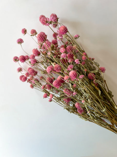 Dried Gomphrena Pink - Sunny Meadows Flower Farm