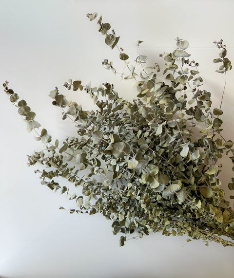 Dried Eucalyptus-Spiral - Sunny Meadows Flower Farm