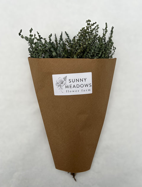 Dried Eucalyptus-Moon Lagoon - Sunny Meadows Flower Farm