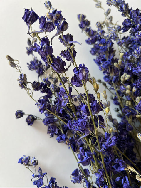 Dried Larkspur Purple - Sunny Meadows Flower Farm