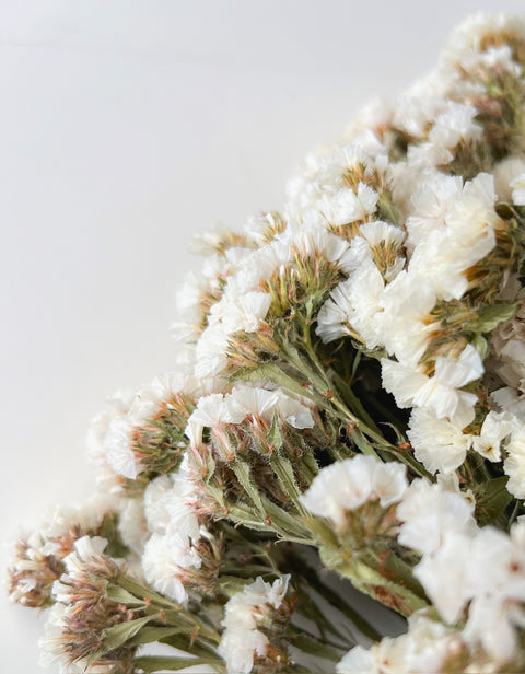 Dried Statis Dried Statice White | Sunny Meadows Flower Farm