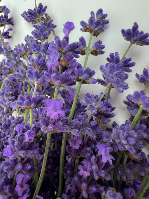 Fresh Lavender Box