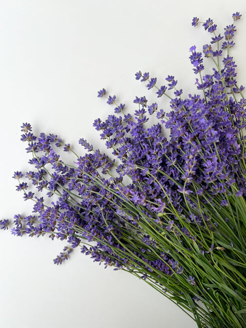 Fresh Lavender Box