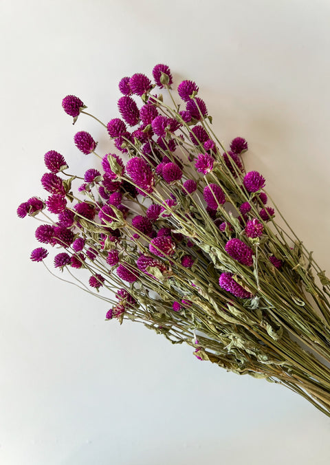 Dried Gomphrena Purple - Sunny Meadows Flower Farm