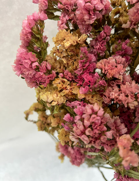 Dried Statice Sunset Mix - Sunny Meadows Flower Farm