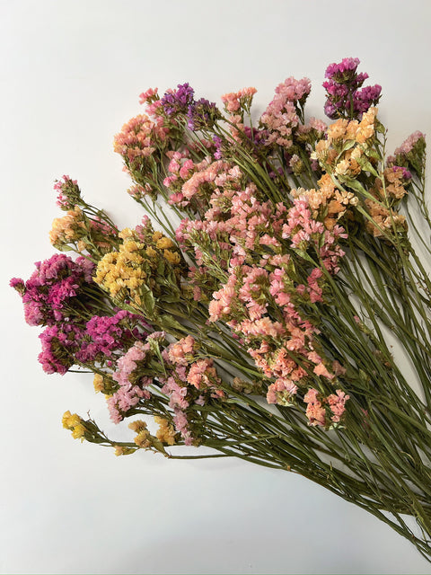 Dried Statice Sunset Mix - Sunny Meadows Flower Farm