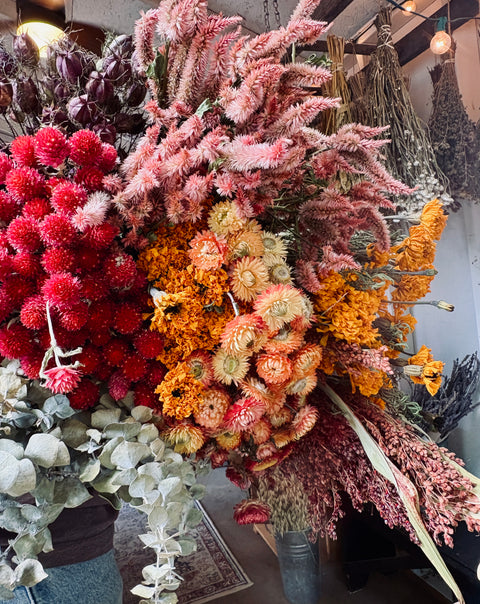 Dried Flowers Box Lot-Autumnal Tones