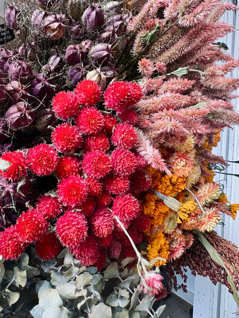 Dried Flowers Box Lot-Autumnal Tones