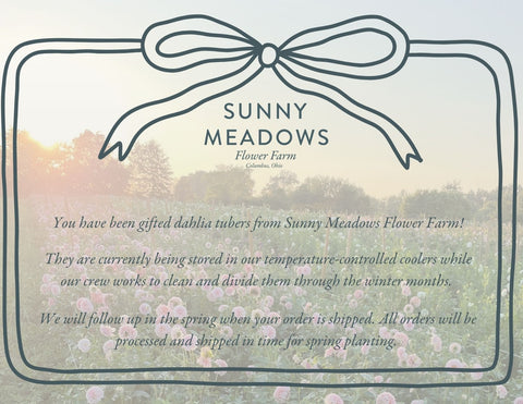 Dahlia Tuber Gift Certificate