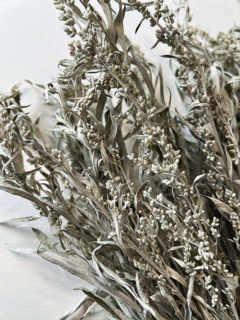 Dried Artemisia Silver King - Sunny Meadows Flower Farm