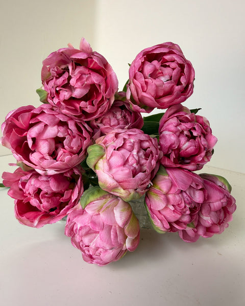 Tulip Bulbs-Amazing Grace