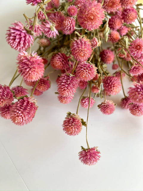 Dried Gomphrena Pink - Sunny Meadows Flower Farm