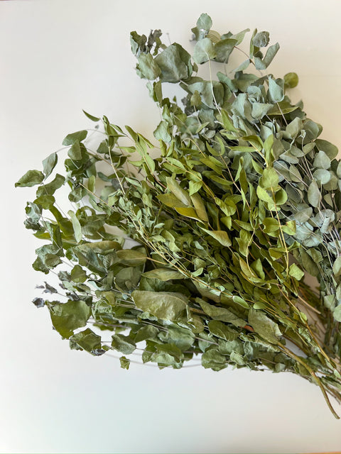 Dried Eucalyptus- Assorted - Sunny Meadows Flower Farm