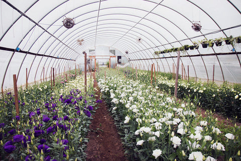 The Gardener's Workshop