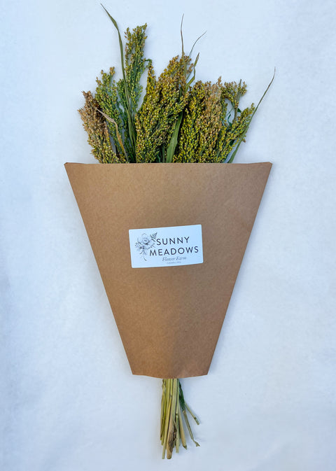 Dried Proso Millet - Sunny Meadows Flower Farm