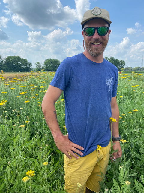 Yarrow Cloth of Gold-Bareroot Plant