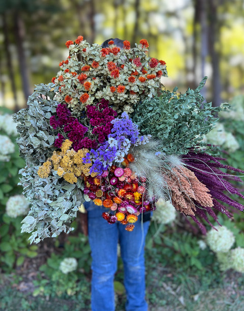 Dried Flowers Box Lot- Bright & Cheery