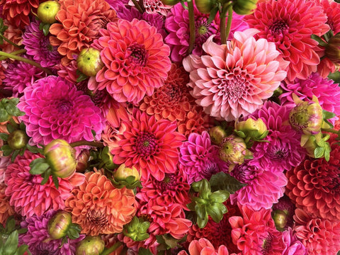 Ordering Flowers