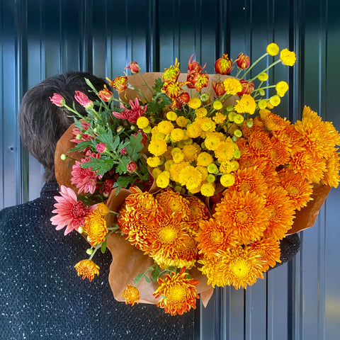 Multiple Varieties of Mums 