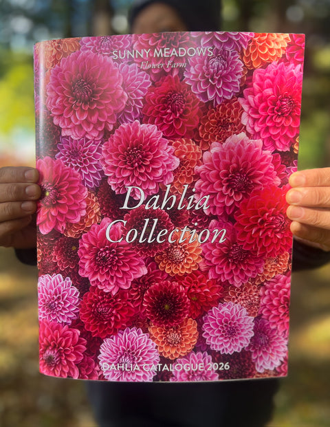 Dahlia Collection Catalogue 2026