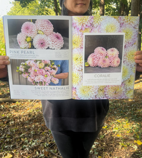 Dahlia Collection Catalogue 2026