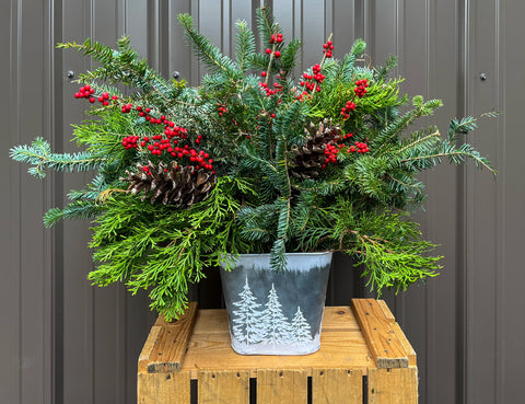 Holiday Evergreen Planter