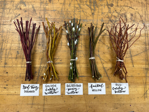 Willow Cutting Care