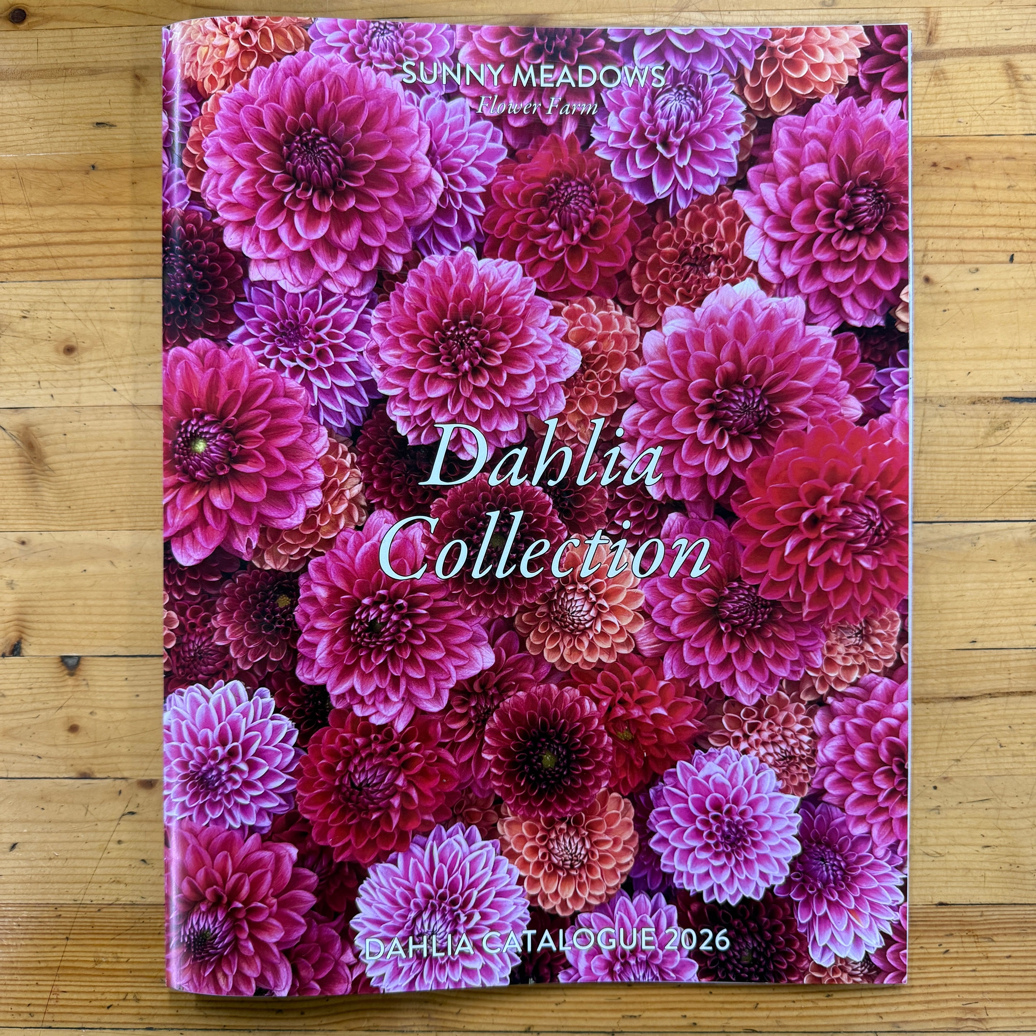 Dahlia Catalogue 2026 Download | Sunny Meadows Flower Farm