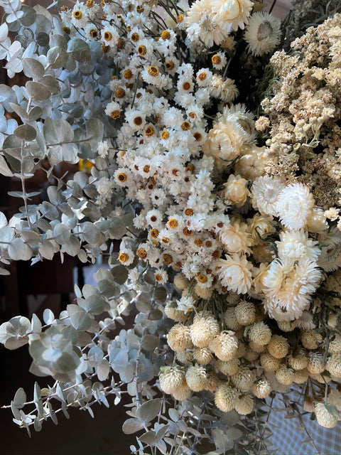 Dried Flowers Box Lot-Icy White