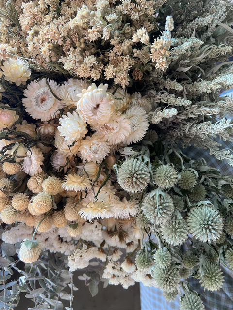 Dried Flowers Box Lot-Icy White