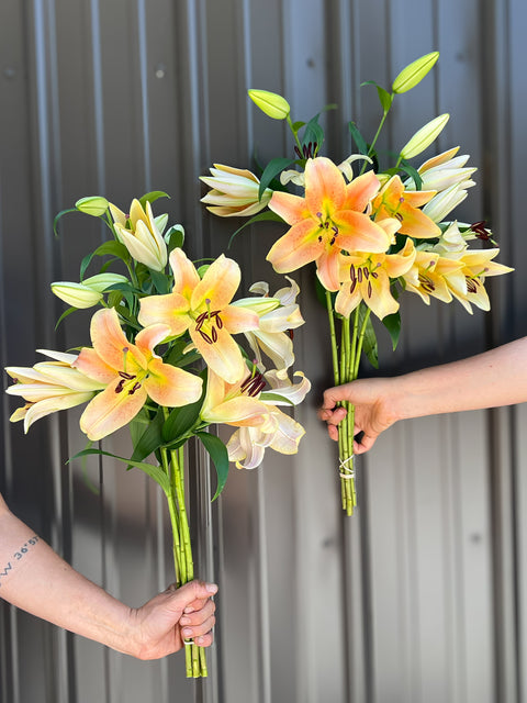 Lilies at Your Door