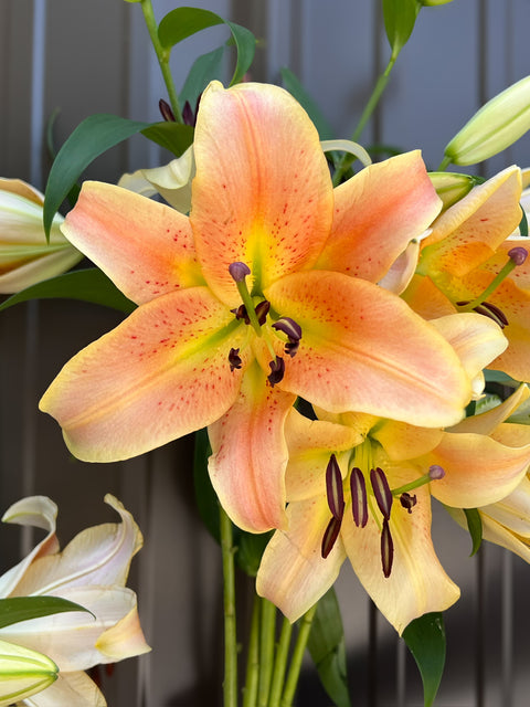Lilies at Your Door