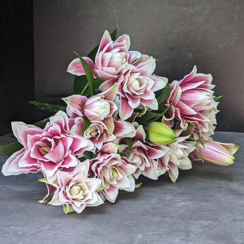 Lilies at Your Door