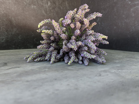 Lavender Phenomenal®-3 Plugs